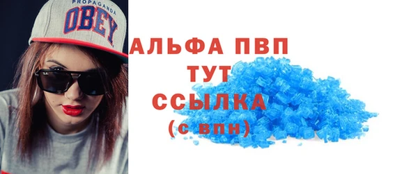 сатива Балахна