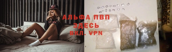 сатива Балахна