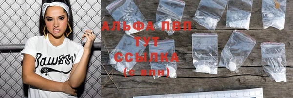 сатива Балахна