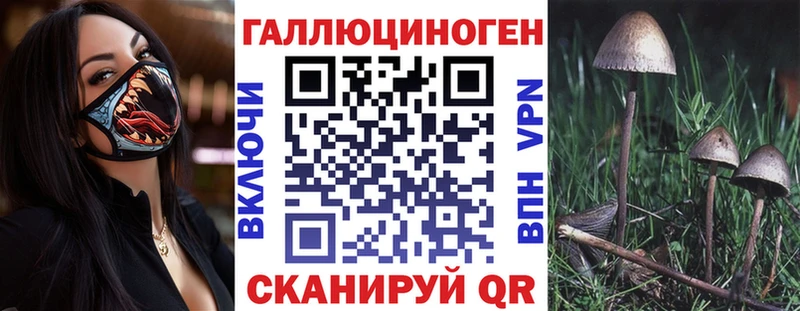 Псилоцибиновые грибы Psilocybine cubensis  Кунгур 